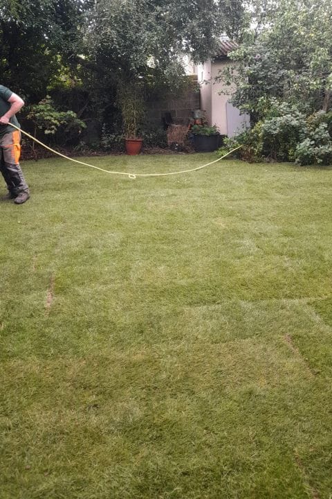 Grass Lawn Repairs Dublin, Aeration and re-seeding services - Atlas Gardening