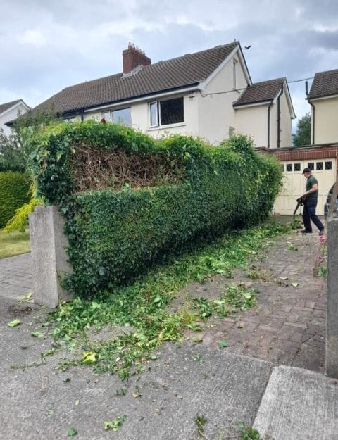 Hedge Cutting Dublin, Hedge Reduction - Atlas Gardening