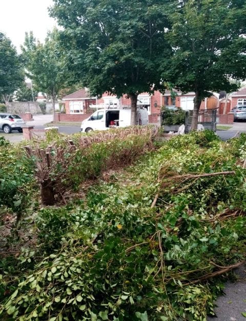 Hedge Removal Service Dublin - Atlas Gardening