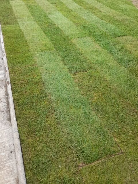New Grass Laying Service, roll out grass installers Dublin - Atlas Gardening-1