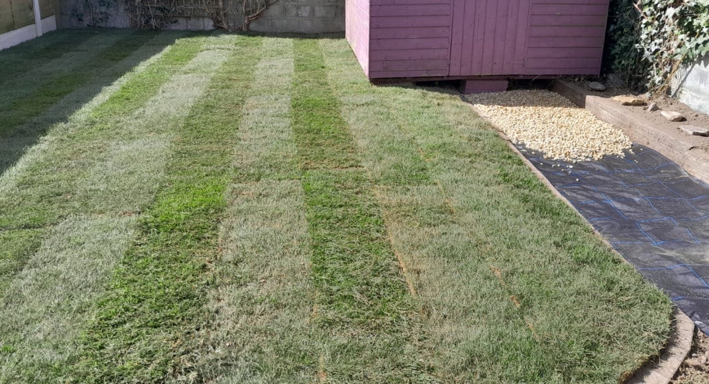 New turf lawns, lawn repairs, turf laying