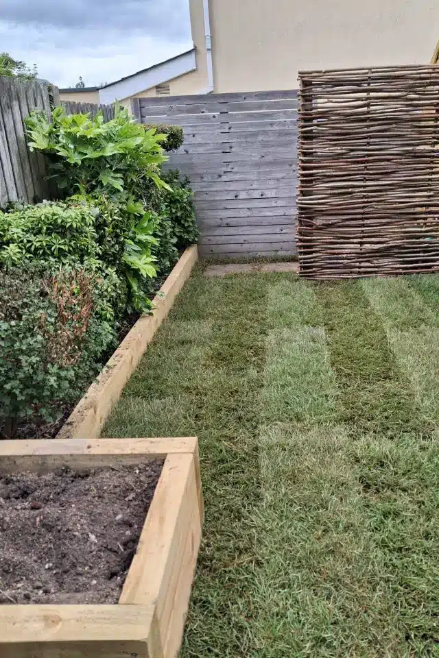 New grass lawn installed along with raised beds in a garden in Foxrock