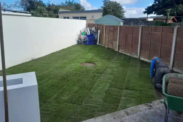 New Lawn Installation in County Dublin New turf lawn installation in a County Dublin garden