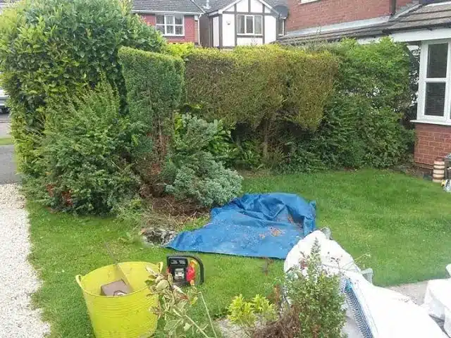 Overgrown Garden in Dublin Before Overgrown Garden in South County Dublin Before