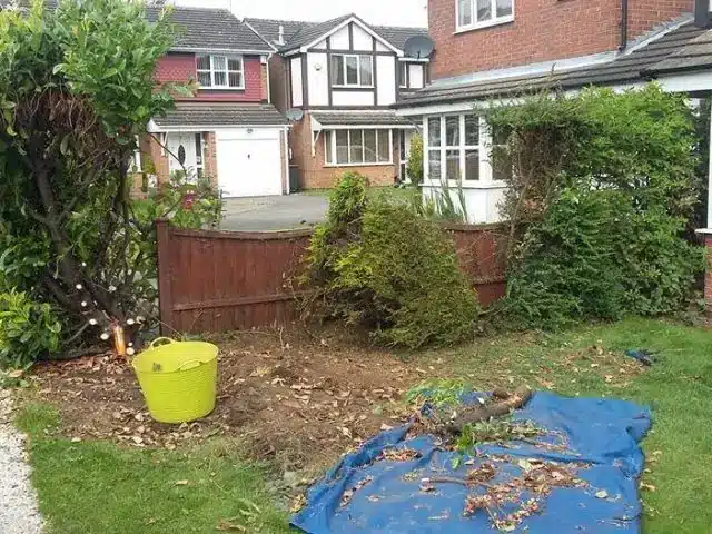 Overgrown Garden in Dublin During Overgrown Garden in South County Dublin During